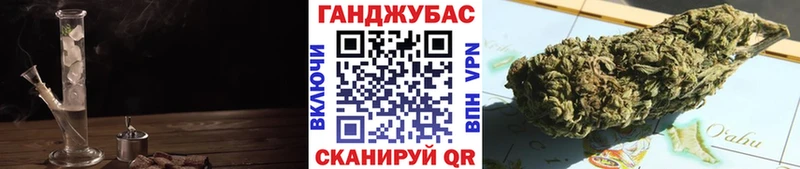 Купить закладки  Чкаловск  Шишки марихуана сатива 